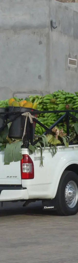 Bananentransport